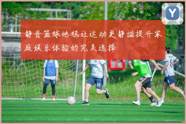 静音篮球地毯让运动更静谧提升家庭娱乐体验的完美选择