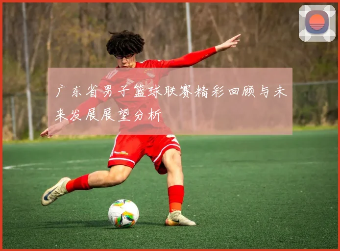 广东省男子篮球联赛精彩回顾与未来发展展望分析